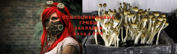 ALPHA PVP Алексеевка