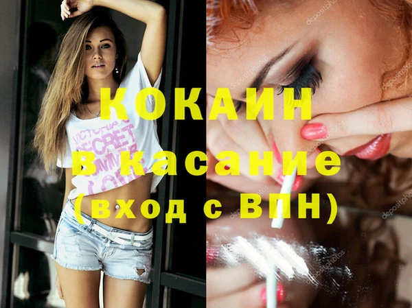 дмт Алзамай