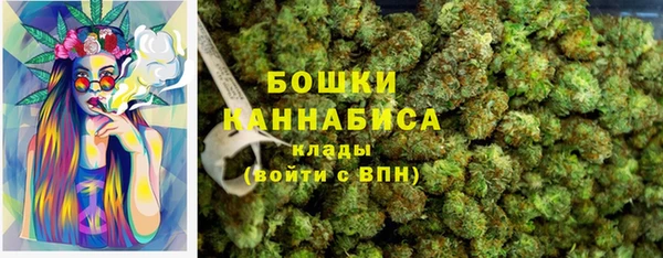 ПСИЛОЦИБИНОВЫЕ ГРИБЫ Абаза
