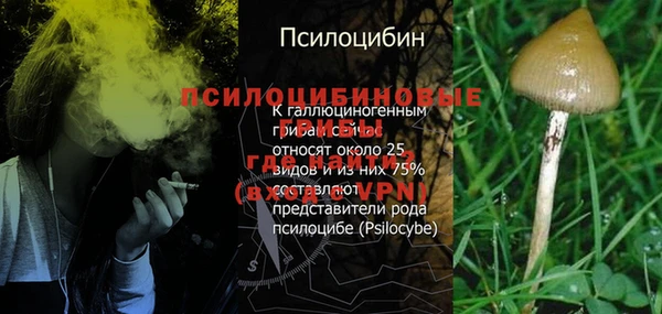 дмт Алзамай