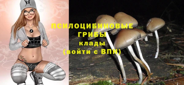 spice Алексин