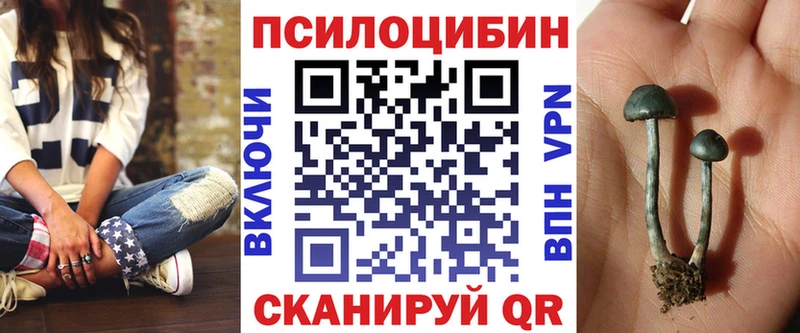Галлюциногенные грибы мухоморы  МЕГА как зайти  Котельнич  где купить наркоту 